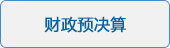 财政预决算